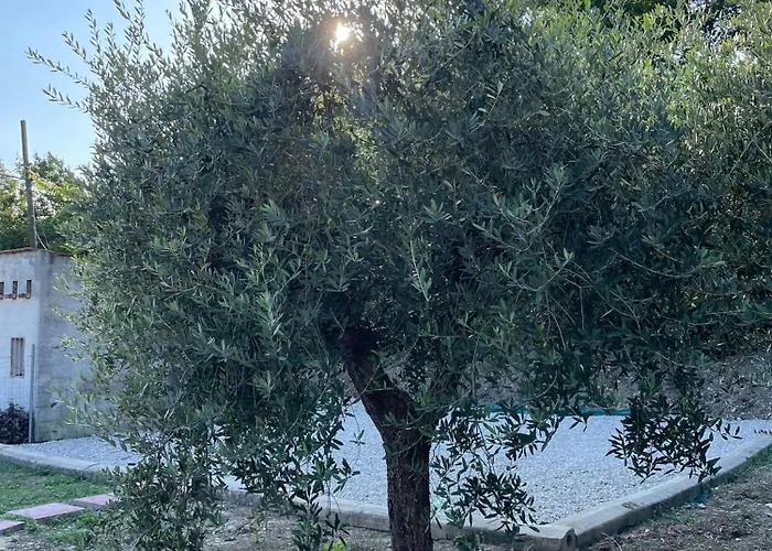 L'uliveto X By Tiny Away *